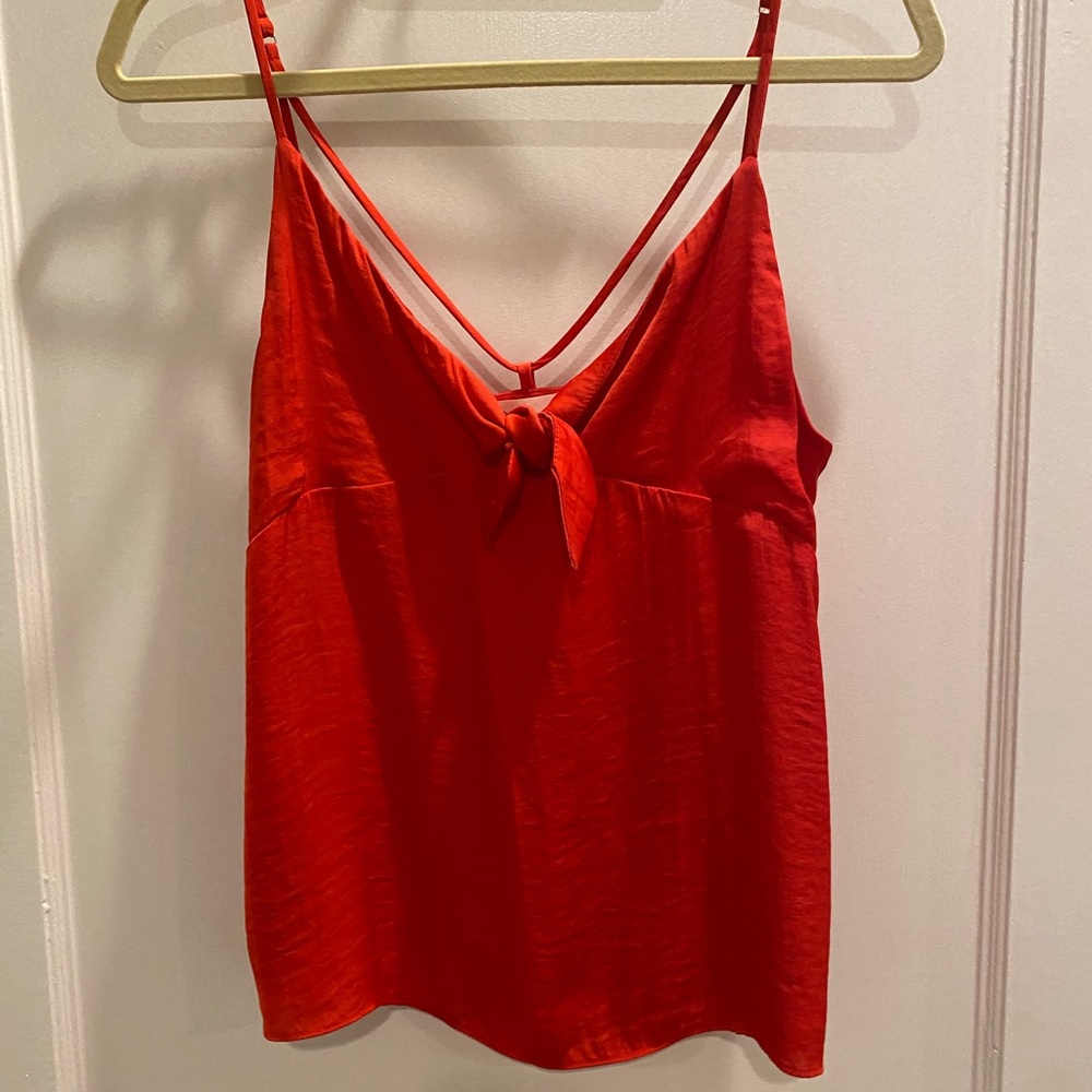 Red tank top for impeccable pig
